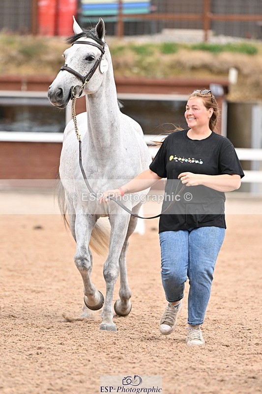 250716-154652-02183 - Trot Up 3.30 to 4.30