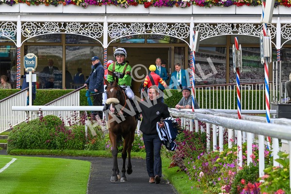 120724-Race 1-Tolstoy-5635 - Race 1 2.05pm William Hill Extra Place Races Daily Handicap