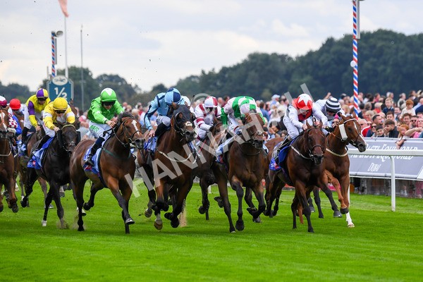 230823-Race 1-Equilateral-0234 - Race 1 1.50pm Sky Bet And Symphony Group Handicap