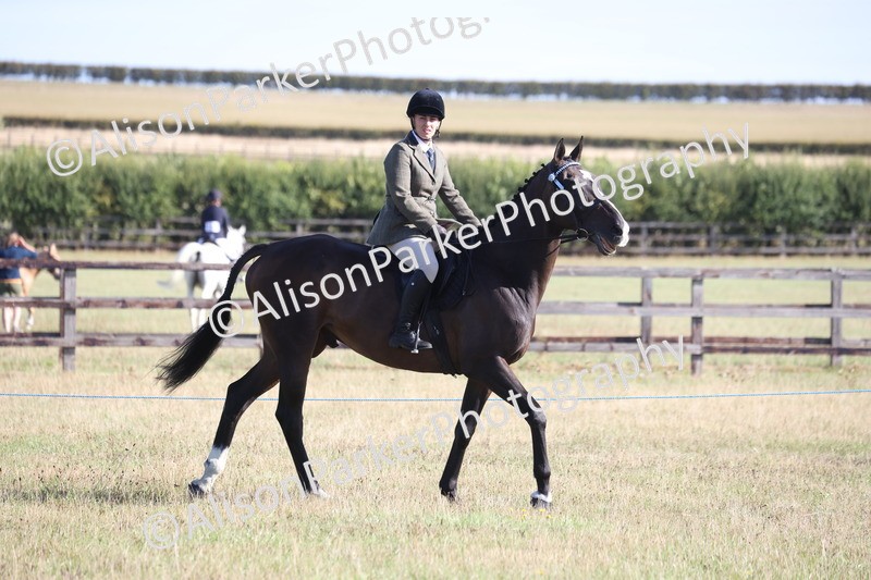 20260906-0347 - Class 14 - Ex Racehorse
