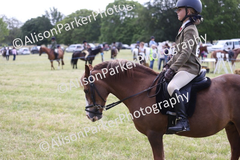 20260614-2101 - Class 21 - Novice Working Hunter Pony