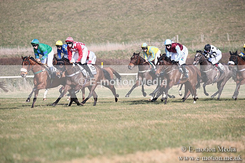PtP 230219 228 - Vine & Craven Point-To-Point - Barbury 23/02/19