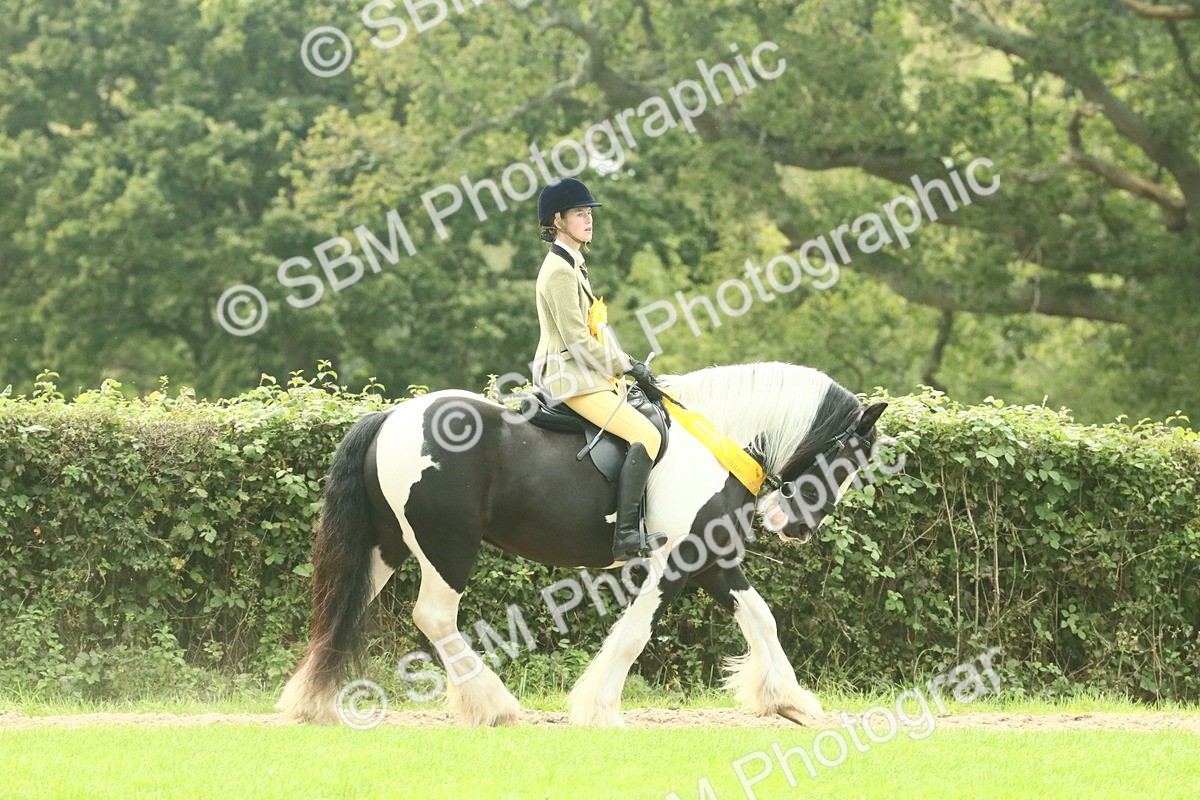 SBM_74971 - Ridden Pony Supreme Championship