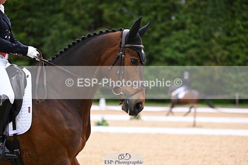 240524-091655-07761 - 504-LORDSHIPS_GRAFFALO-Rosalind_Canter