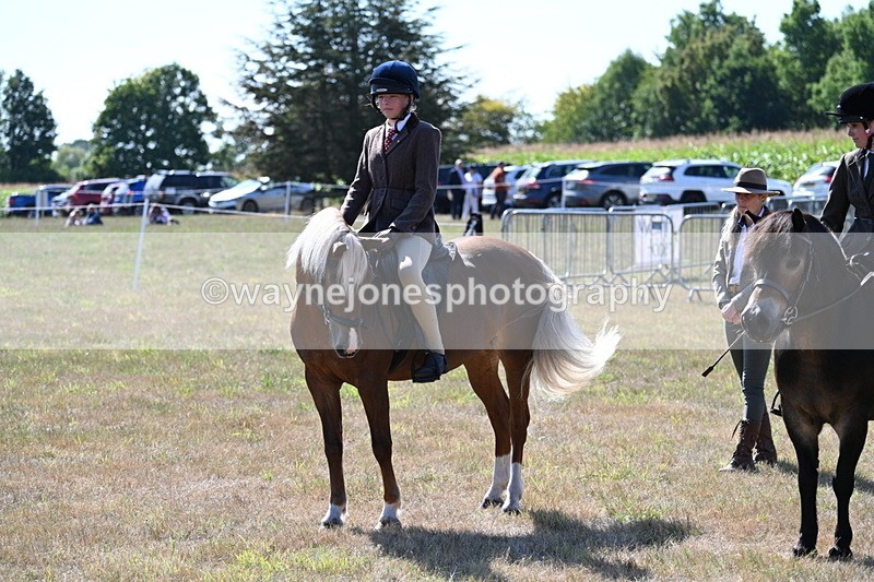 WJ7_3980 - Class 9 Mountain & Moorland Ridden