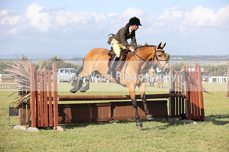JPP_3184 - Class 21: Working Hunter 80cm