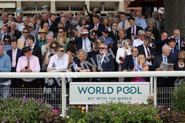 yr17082022r4-13 - Race 4 3.35pm Juddmonte International Stakes (British Champions Series Race)