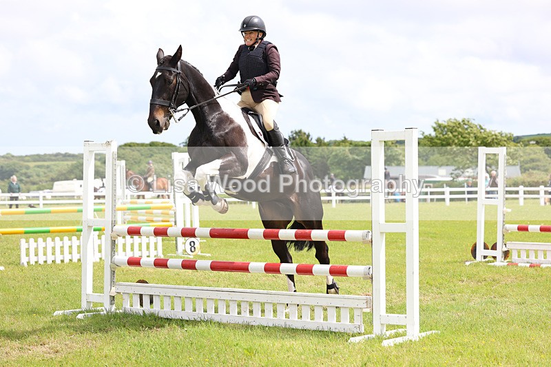 3E7A7662 - Class 13: Senior British Novice/90cm open