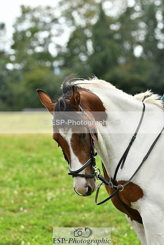 230817-153941-01566 - Theo's 2nd Group - XC