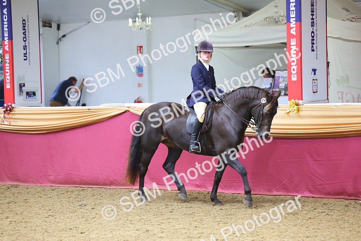 SBM_24493 - Class 906 - Supreme Final - Ridden Pre Vet
