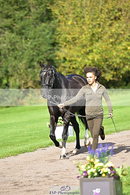 241023-130531-00063 - 052-Lydia.Heywood-JUST.THE.BISCUIT