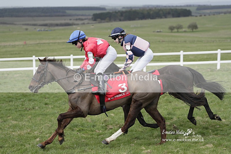 PtP 260323 1039 - New Forest Hounds Point-to-Point Larkhill 26/03/23