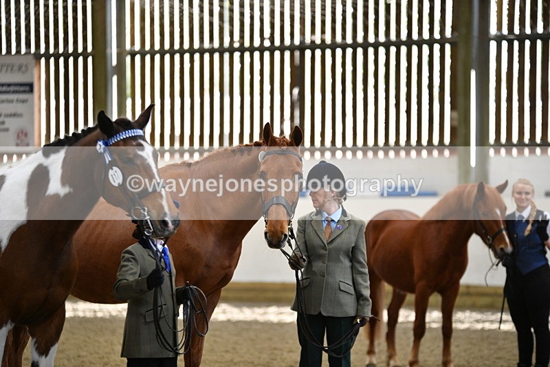 WJ5_4086 - Class 2 Best Condition In hand