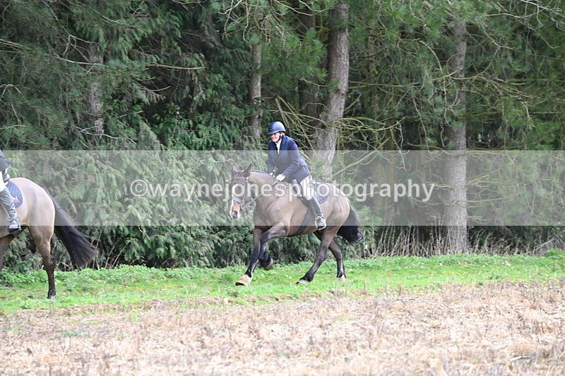 WJ6_9734 - Line Four