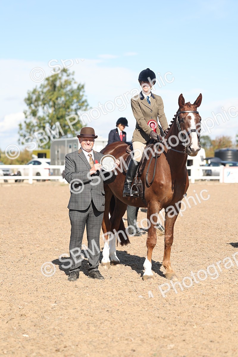 SBM_13103 - Class 305 - Ridden Foreign Breed Pure Bred