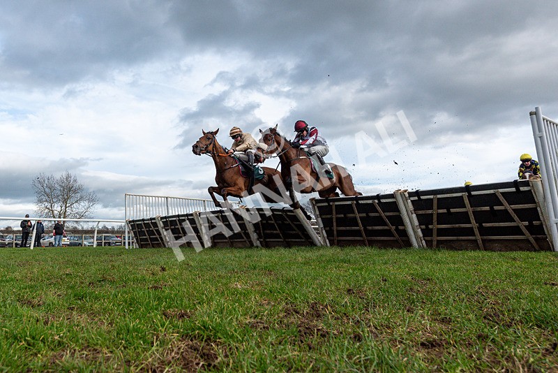 240226-Race 1-Itsinthename-4965 - Race 1