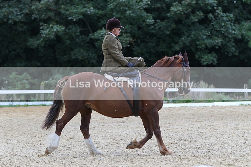 0I1A7079 - Class 9: Prelim Freestyle to Music