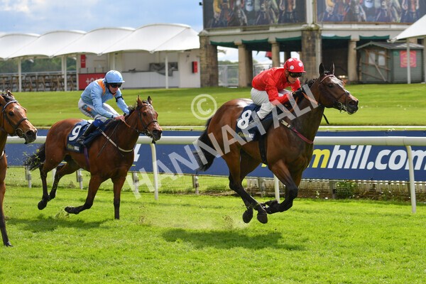 yr22052021r4-30 - Race 4 3.50pm WilliamHill.com Best Odds Guaranteed Stakes