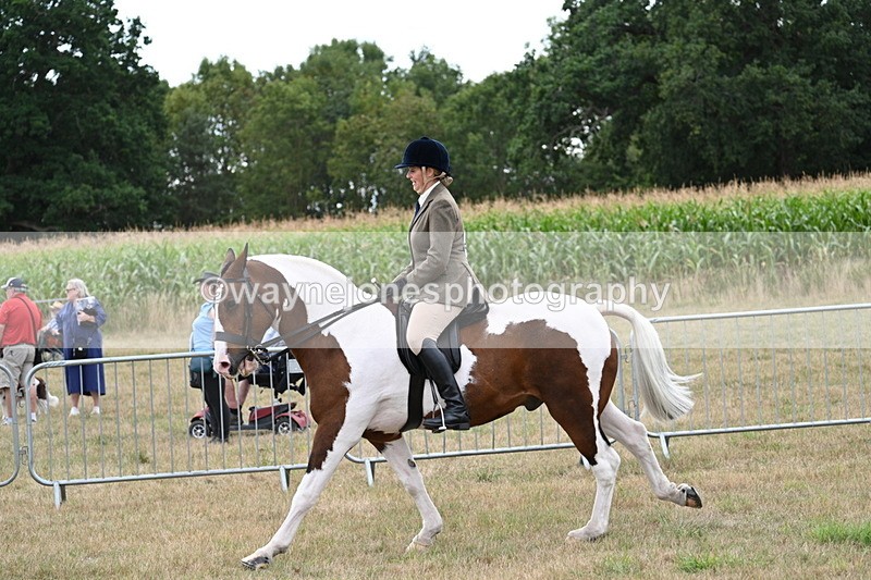 WJ7_5108 - Class 12 Ridden Cob