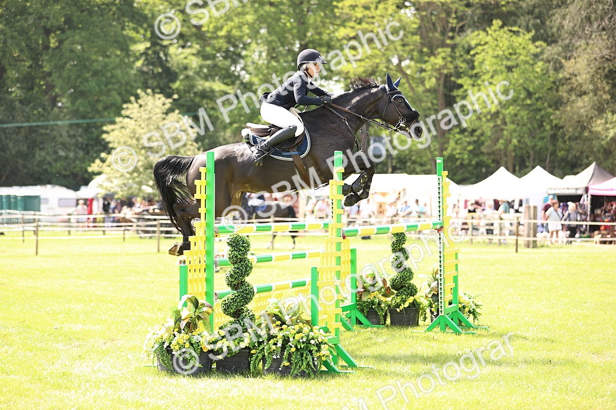 SBM_03055 - Class 201 - British Horse Feedds Speedi Beet HOYS Grade C