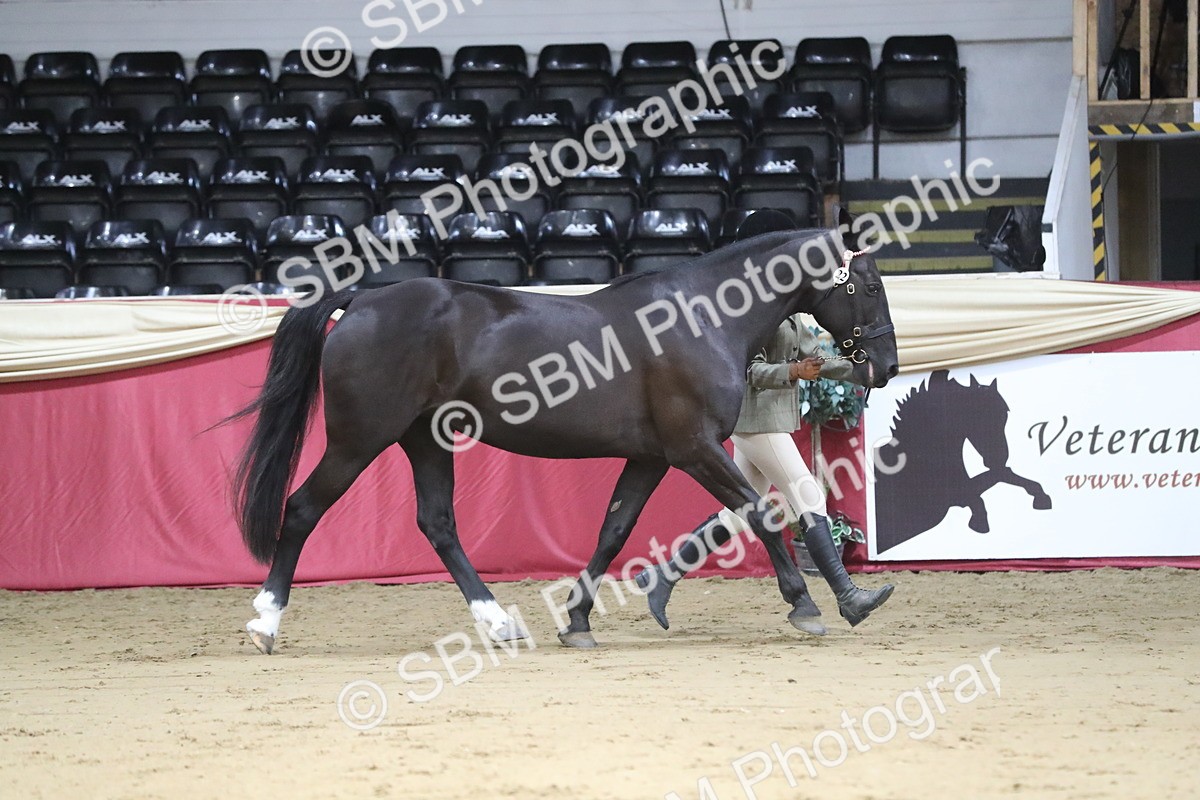 SBM_05034 - Class 8R- Regional -IH Veteran