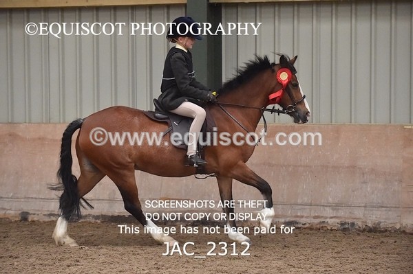 JAC_2312 - CLASS 2 Novice Working Hunter