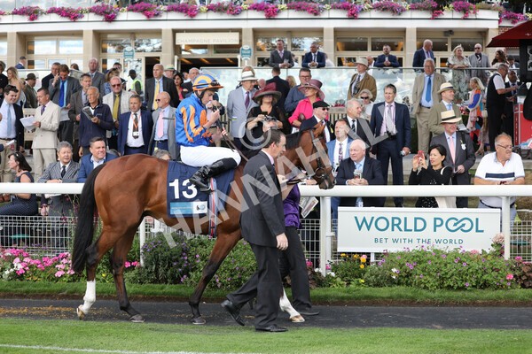 yr19082022r6-10 - Race 6 4.45 pm British Stallion Studs EBF Convivial Maiden Stakes