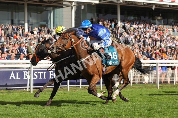 yr19082022r7-31 - Race 7 5.20pm Sky Bet Mile Stakes