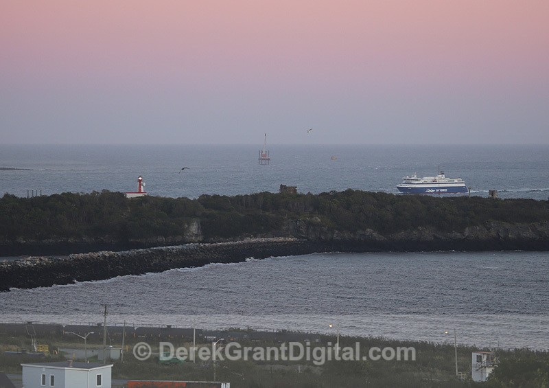 Partridge Island Fundy Rose Saint John New Brunswick Canada - Partridge Island National Historic Site