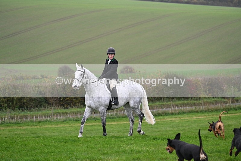 WJ7_8841 - Meet Staff & Hounds