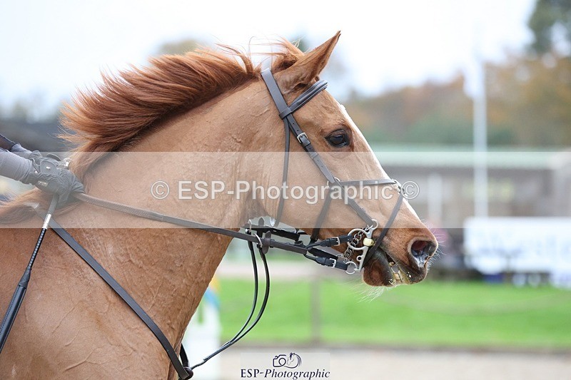 231118-133124-01884 - Cls 3 90cm