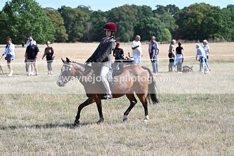 WJ7_4063 - Class 9 Mountain & Moorland Ridden