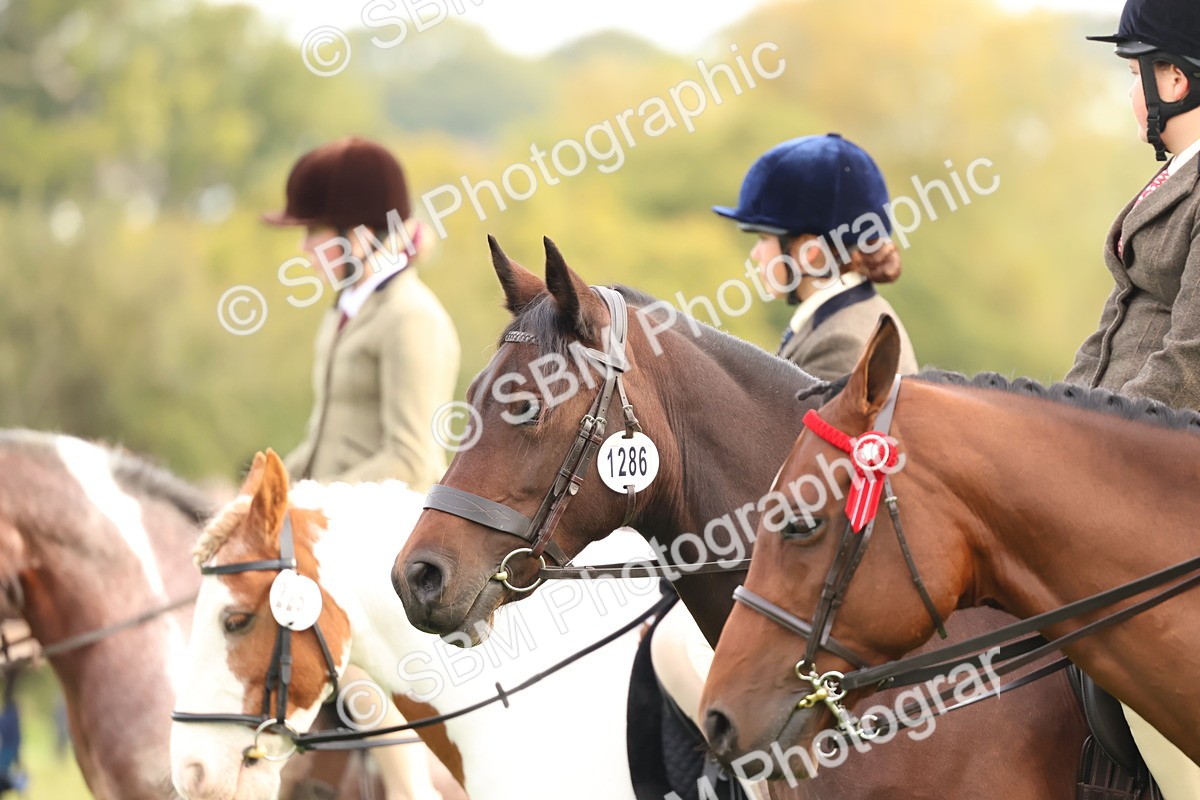 SBM_56644 - S40 - Starters Ridden Showing