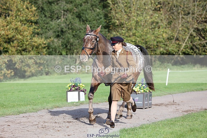 241027-102519-15877 - 501-Captain.Holly.Day-MUSTANG