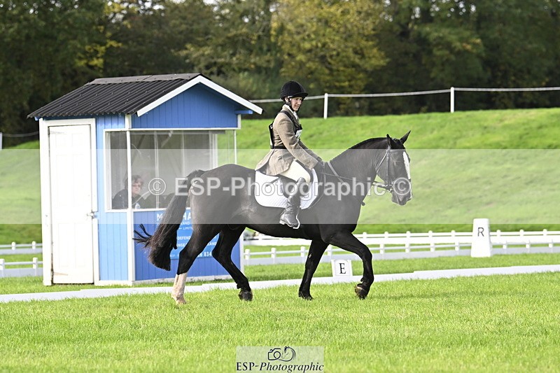 251023A-105843-02970 - F-410-Kt.English-Baillie