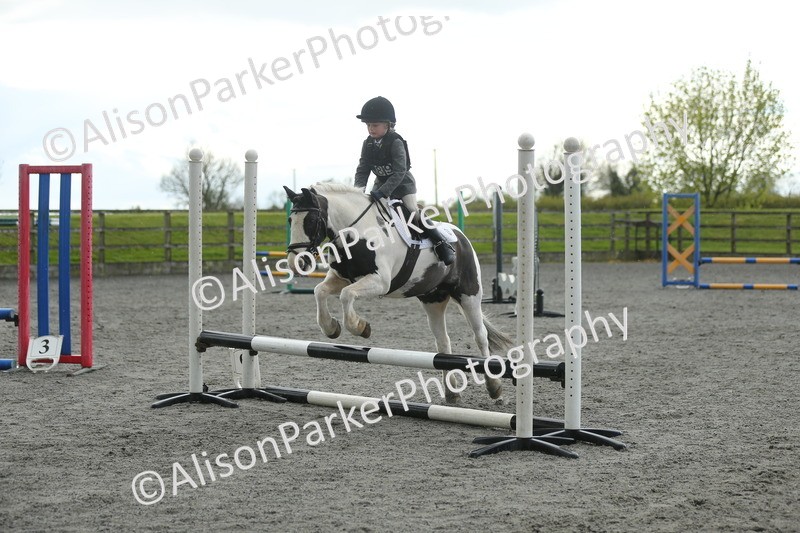 20260412-1958 - Show Jumping