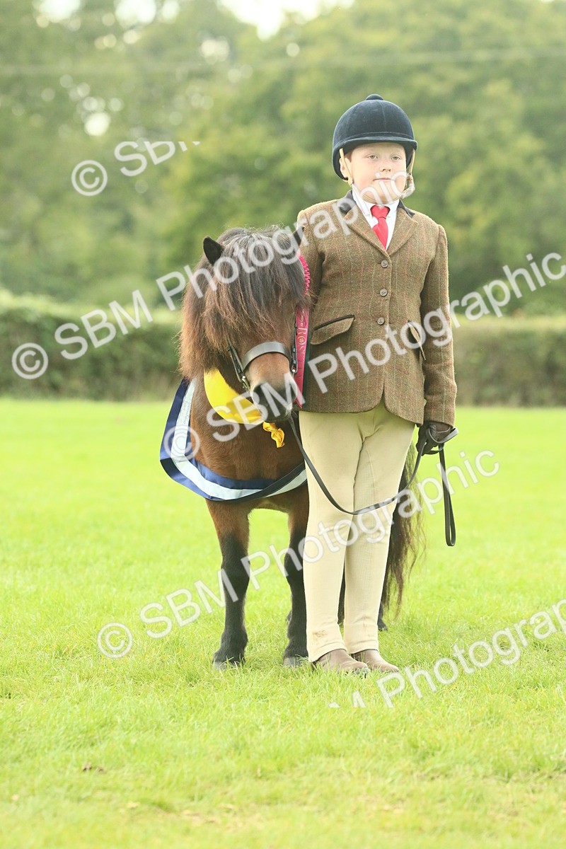 SBM_75268 - Super Supreme Championship