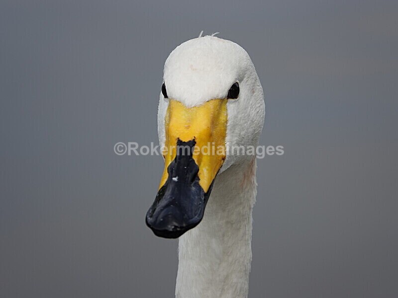 CHINA__0114 - China 2019