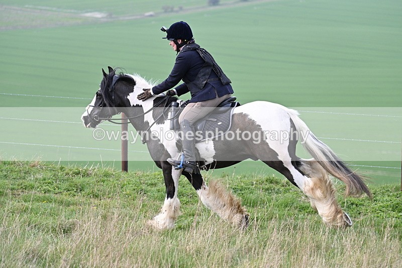 WJ7_8214 - Line 2 A camera