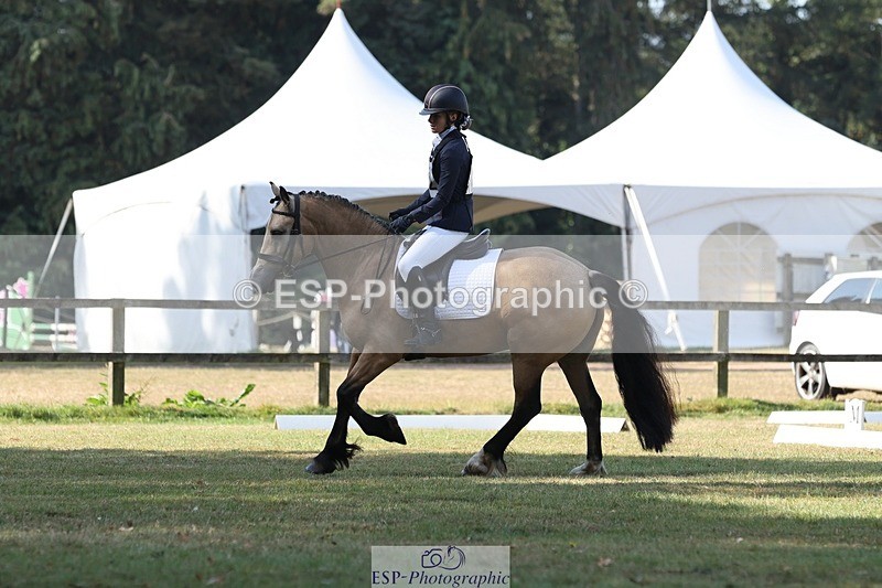 250823A-095200-26955 - Arena C