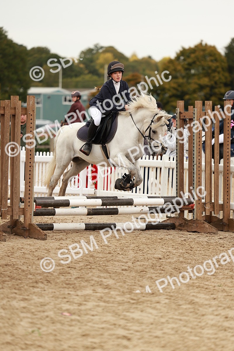 SBM_57898 - J11 - Junior Pony 50cm Championship