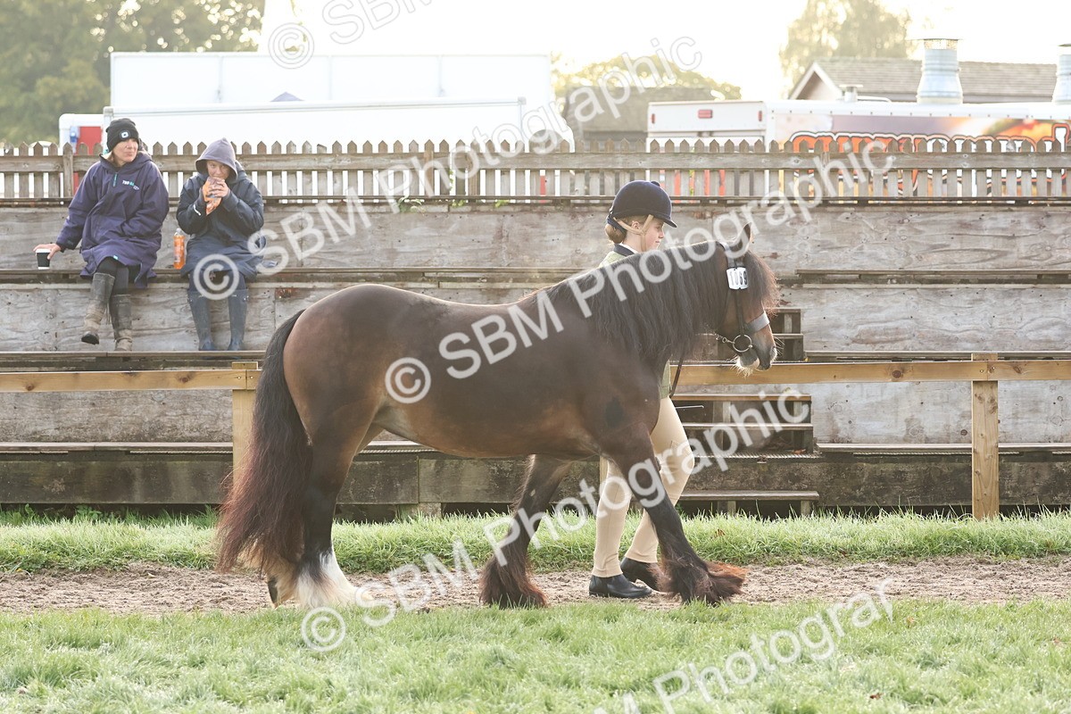 SBM_54475 - S38 - Starters Best Turnout