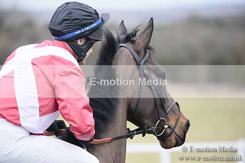 PtP 180218 338 - Combined Services Point-to-Point Larkhill 18/02/18