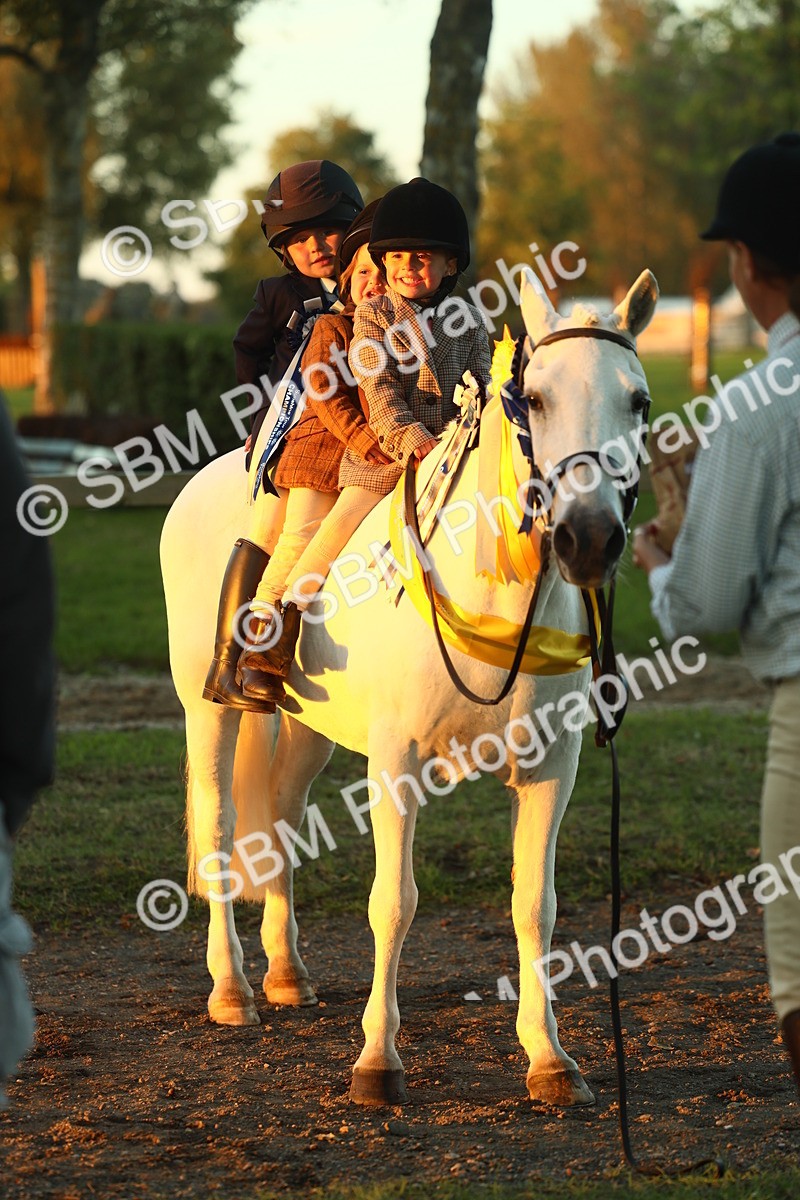 SBM_56752 - Fun & Versatile Supreme Championship