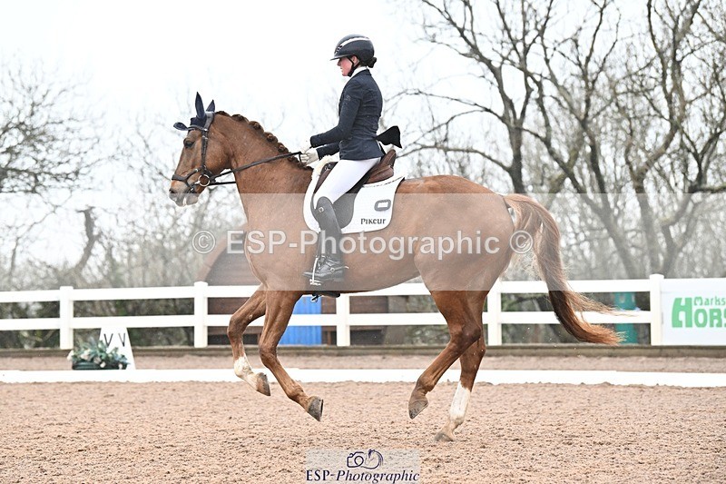 250215-113333-03218 - 257-Beth.Bainbridge-NEWTON.GLOVETROTTER