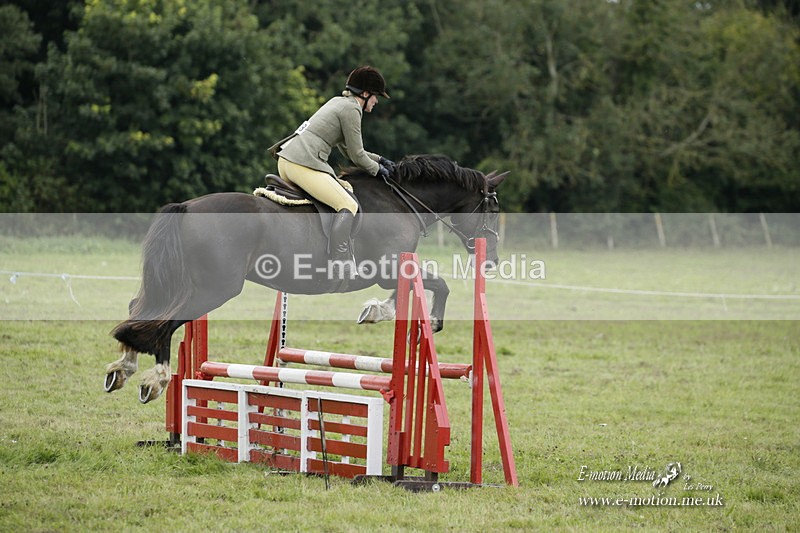 BVRC 120921 497 - Bourne Valley Riding Club UA Dressage & Show Jumping 12/09/21