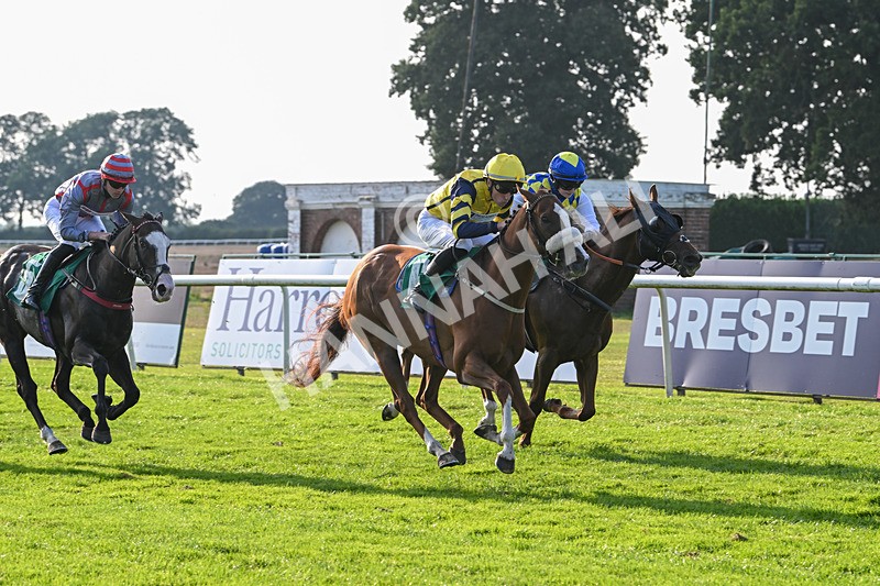 300824-Race 8-Captain Corelli-6660 - Race 8