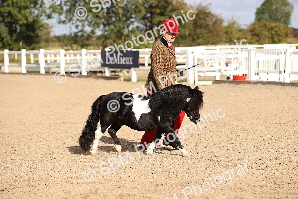 SBM_08560 - Class 402 - IH Veteran Pony