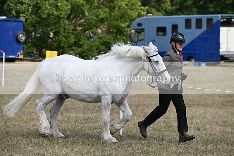 WJ6_6492 - Class 20 In-hand Cob