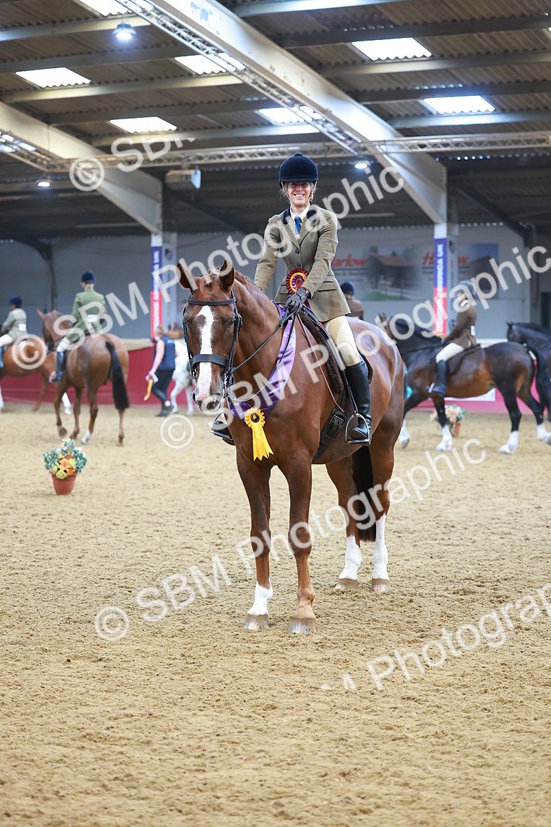 SBM_12695 - Class 103 - HOYS Veteran Qualifier - Ridden Pre Vet